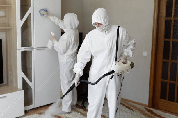Best Post-Flood Mold Remediation in Nitro, WV