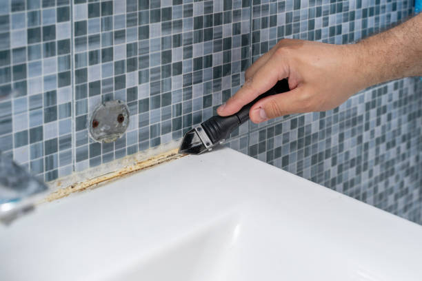 Best Emergency Mold Remediation in Nitro, WV